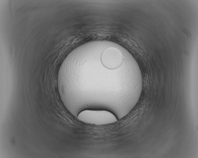 X0000115601009200911100947