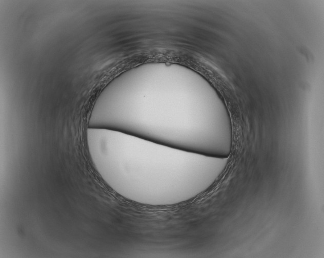 X0000115601013200911100947