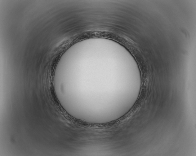 X0000115601014200911100947