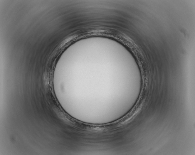 X0000115601017200911100947