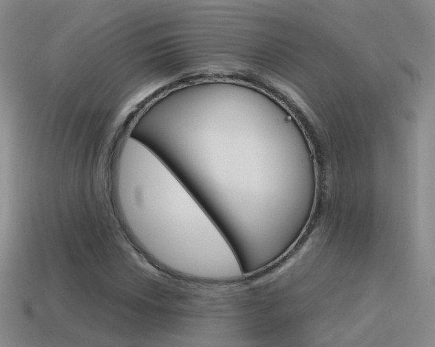 X0000115601018200911100947