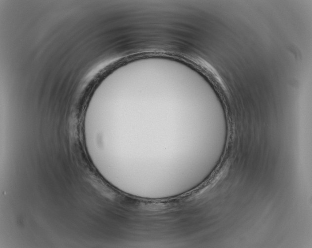 X0000115601019200911100947