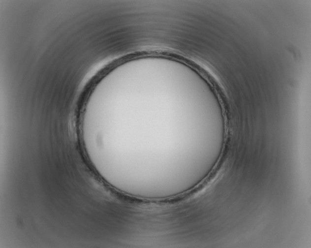 X0000115601022200911100947