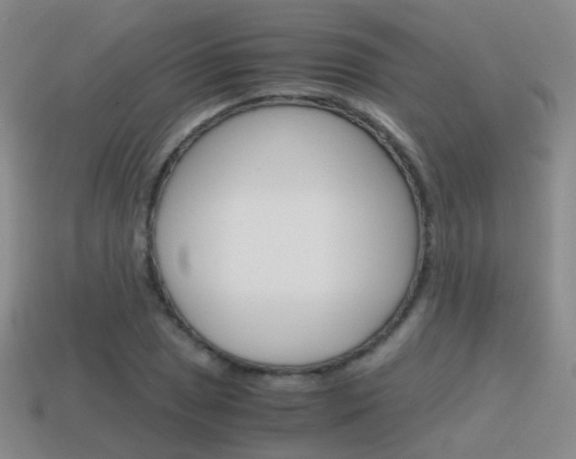X0000115601025200911100947