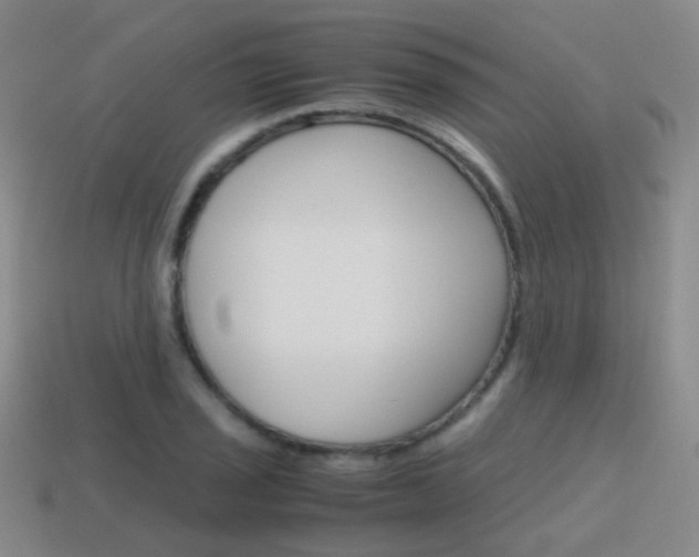 X0000115601029200911100947