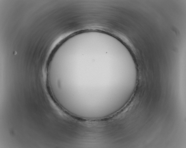 X0000115601032200911100947