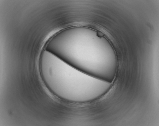 X0000115601034200911100947