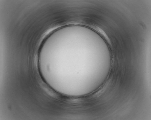 X0000115601035200911100947