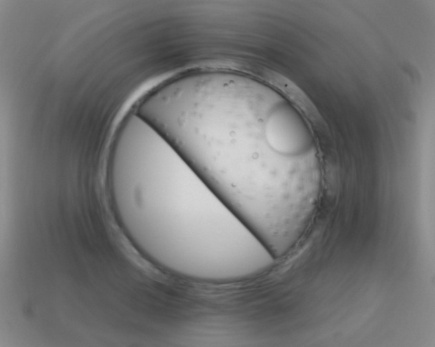 X0000115601036200911100947