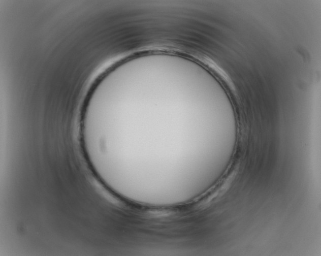 X0000115601037200911100948