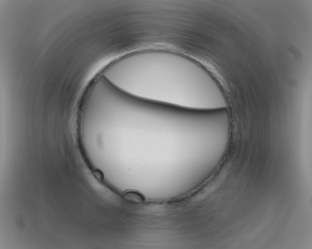 X0000115601038200911100948