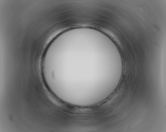 X0000115601039200911100948
