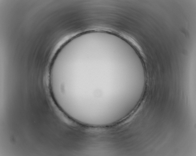 X0000115601040200911100948