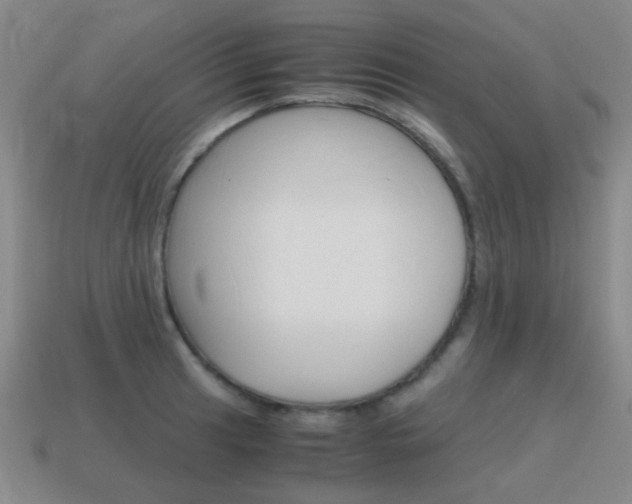 X0000115601041200911100948
