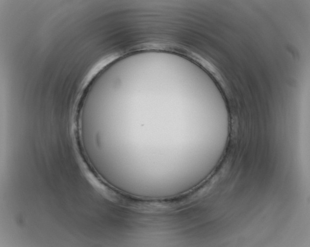 X0000115601042200911100948