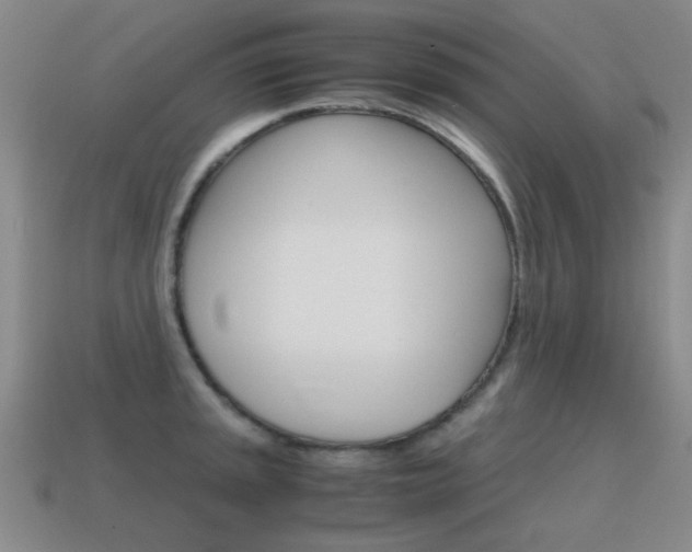 X0000115601045200911100948