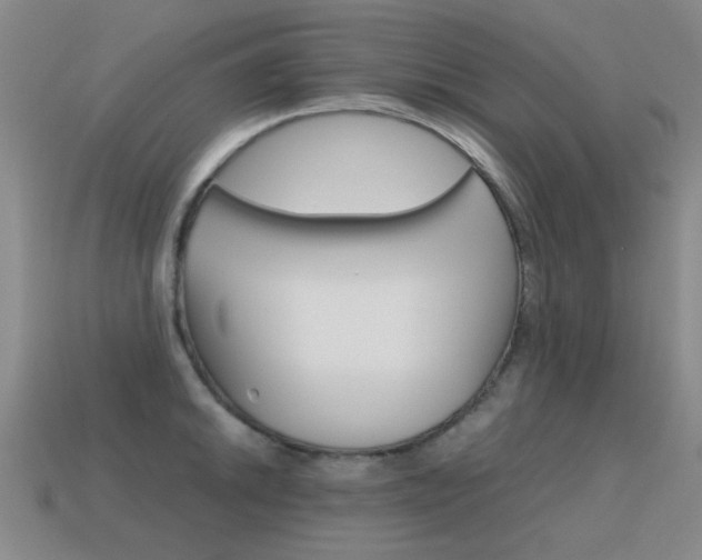 X0000115601046200911100948