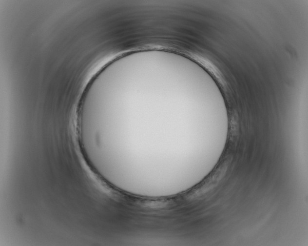 X0000115601047200911100948