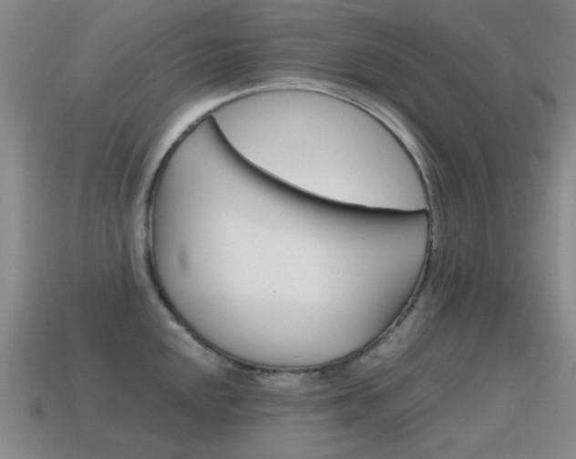 X0000115601048200911100948