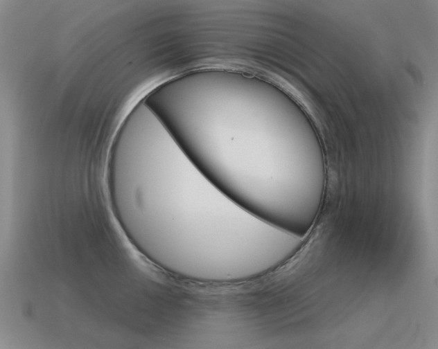 X0000115601050200911100948