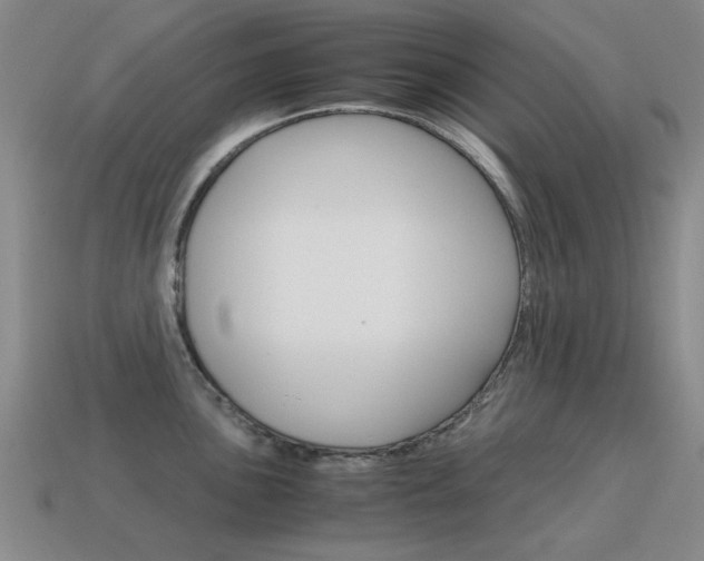 X0000115601051200911100948