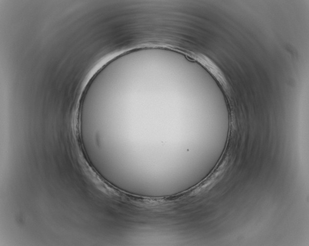 X0000115601052200911100948