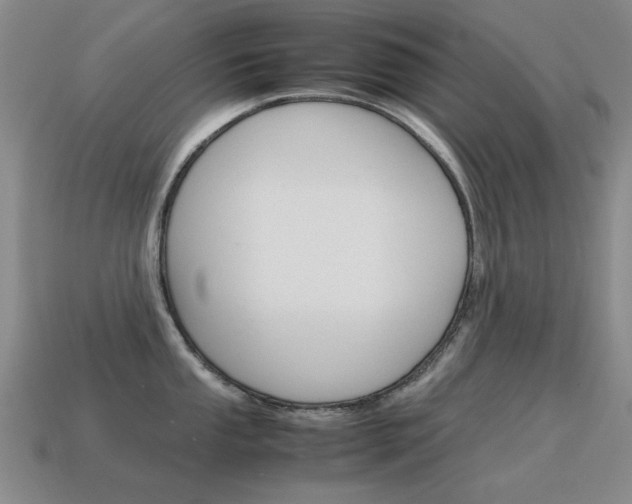 X0000115601053200911100948