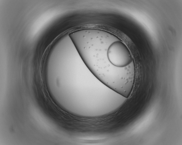X0000115601054200911100948