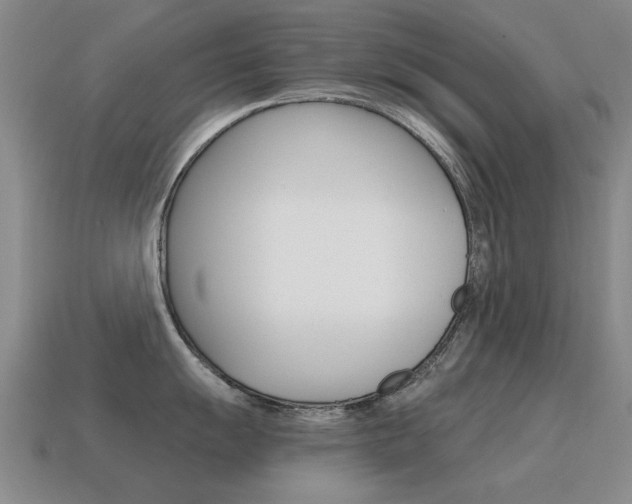 X0000115601055200911100948