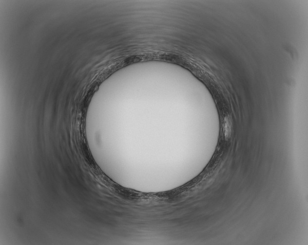 X0000115601059200911100947