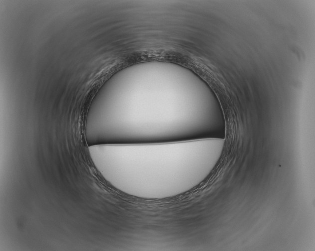 X0000115601060200911100947