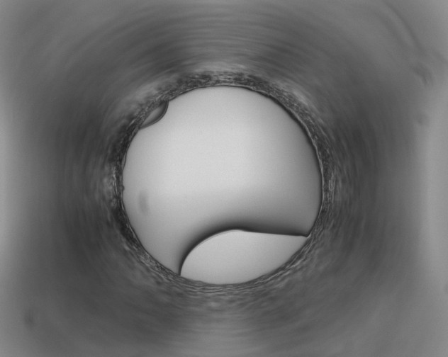 X0000115601062200911100947
