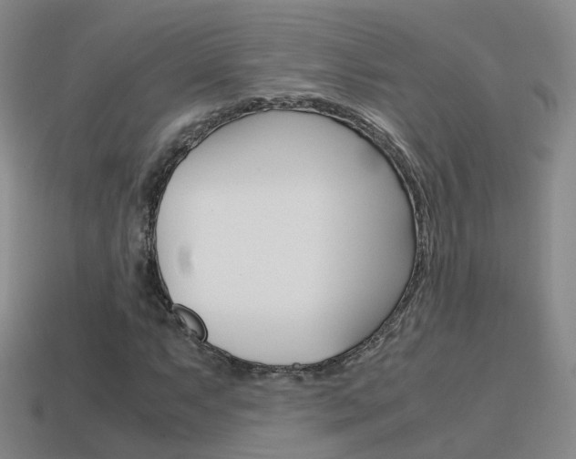 X0000115601063200911100947