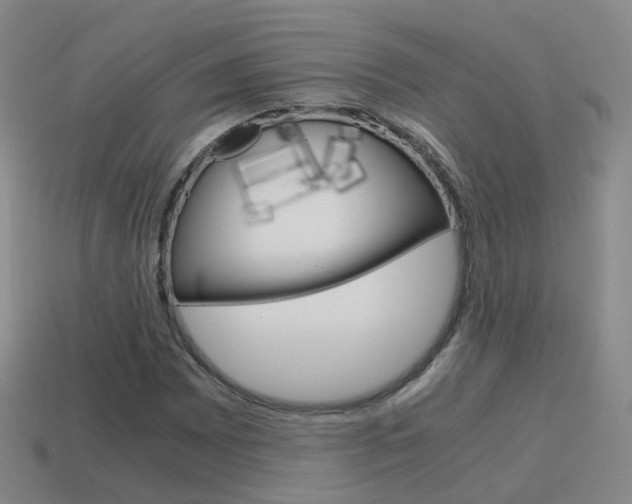 X0000115601065200911100947