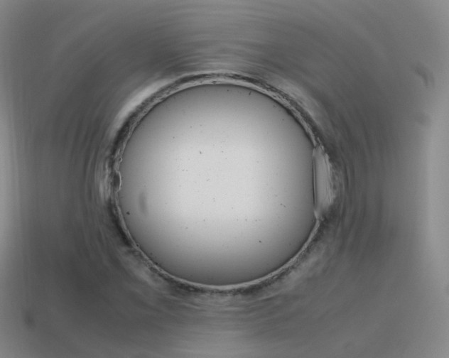X0000115601069200911100947