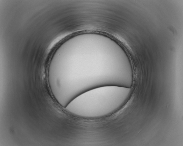 X0000115601070200911100947
