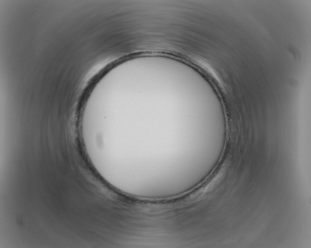 X0000115601071200911100947