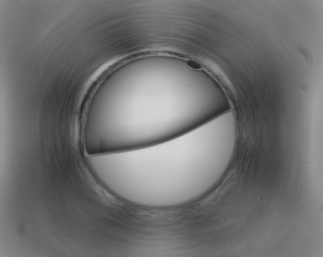 X0000115601076200911100947