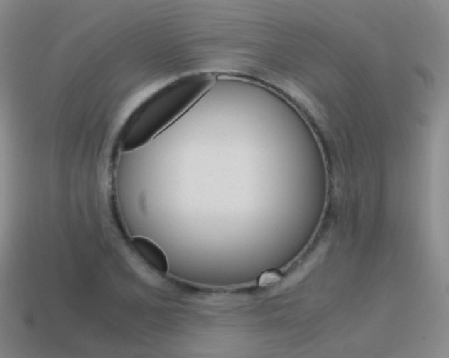 X0000115601077200911100947
