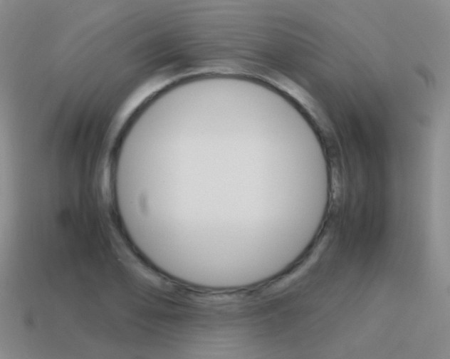 X0000115601078200911100947