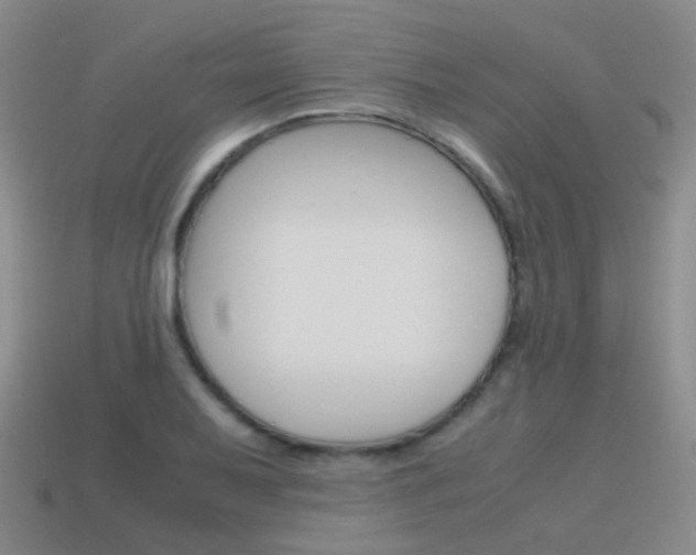 X0000115601079200911100947