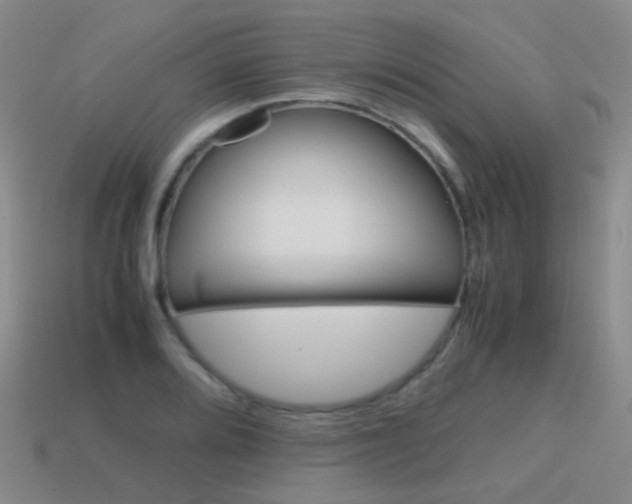 X0000115601080200911100947