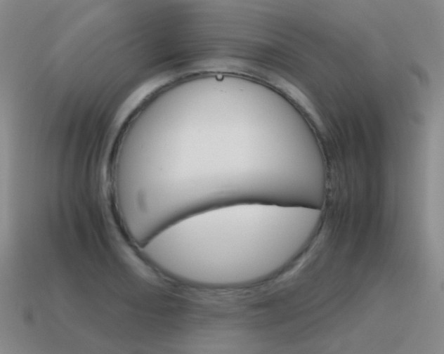 X0000115601082200911100947