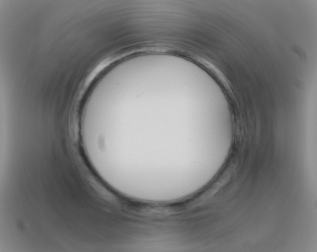 X0000115601083200911100947