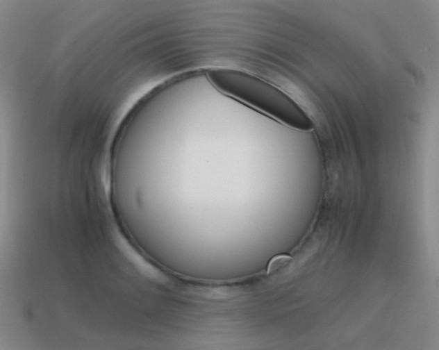 X0000115601084200911100947