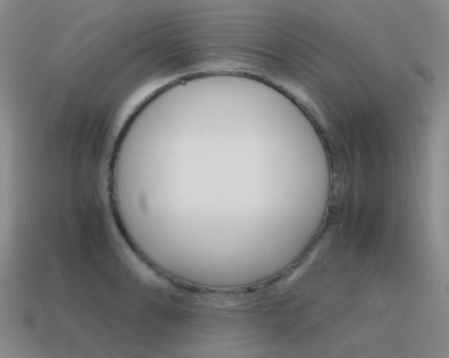 X0000115601086200911100947