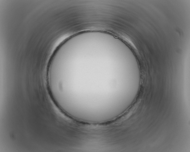 X0000115601087200911100947