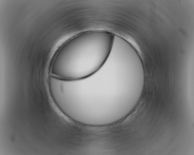 X0000115601088200911100947