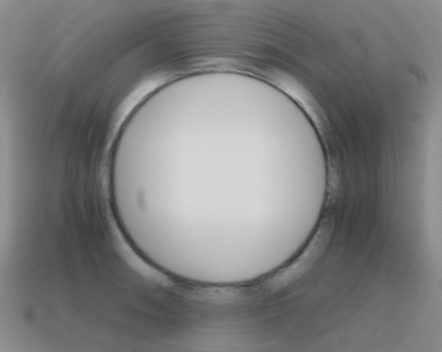 X0000115601090200911100947