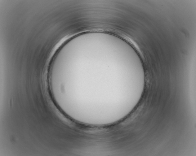 X0000115601091200911100947